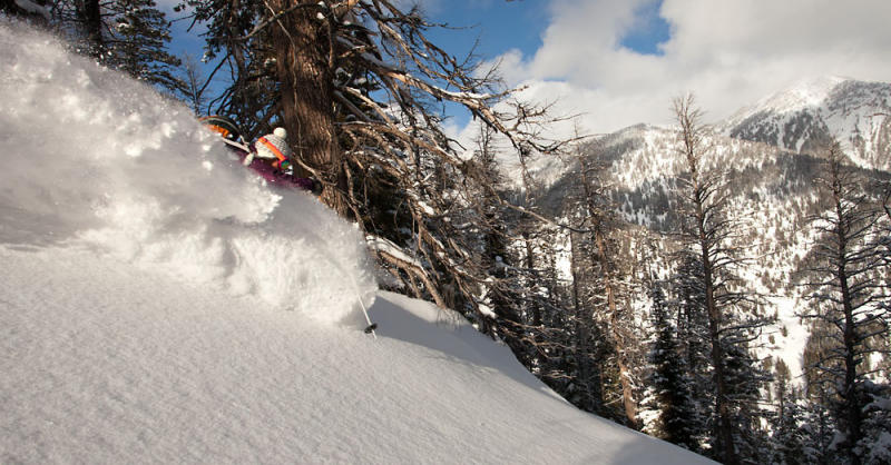 A Geat Day  - Powder Skiing in the Teton Backcountry Photo: Exum Collection